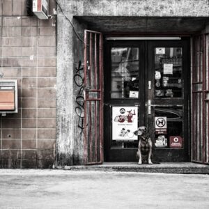 Photo Auto shop