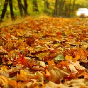 Photo "How Do Seasonal Changes Affect the Need for Specific Car Repairs or Maintenance?"