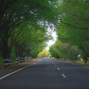 Photo "Greener Roads: Eco-friendly Approaches to Auto Repairs and Maintenance"
