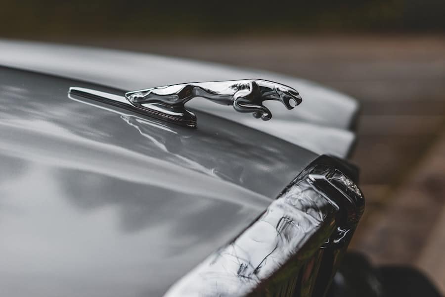 Auto Body Shop Reviews