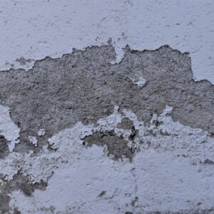 Photo Paintless Dent Repair