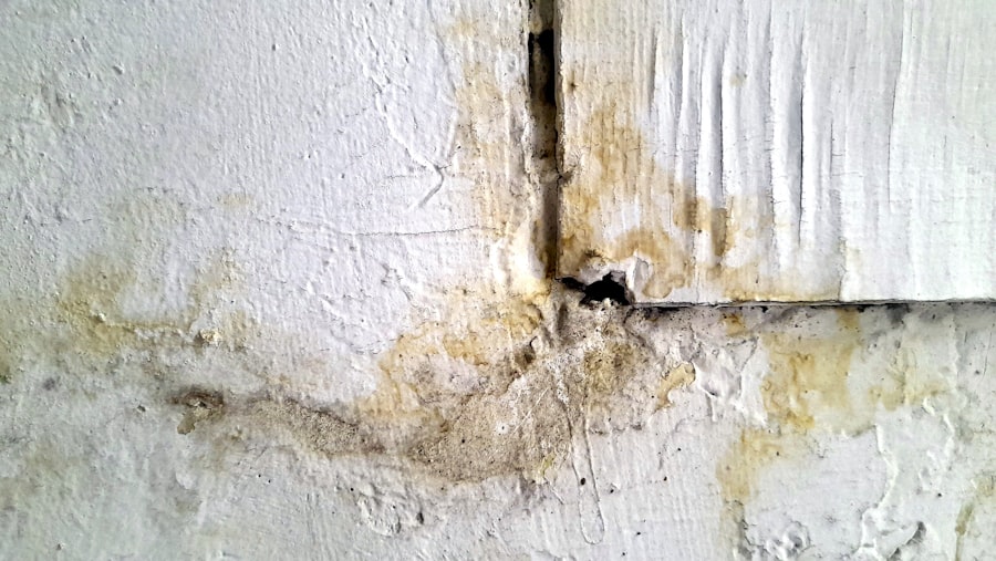 Photo Paintless Dent Repair