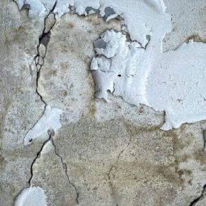 Photo Paintless Dent Repair
