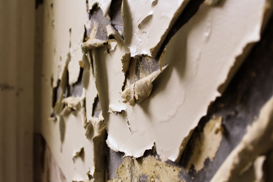 Dent and Paint Repair