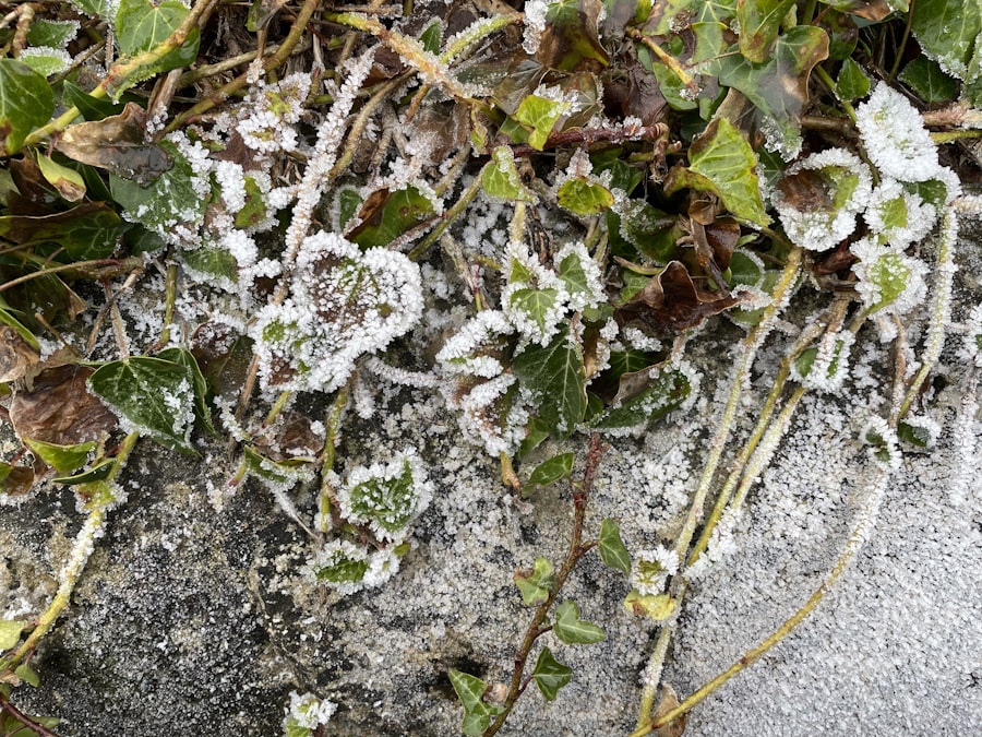 Hail Damage Repair