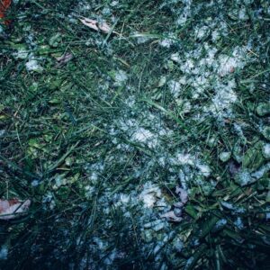 Photo Hail Damage Repair