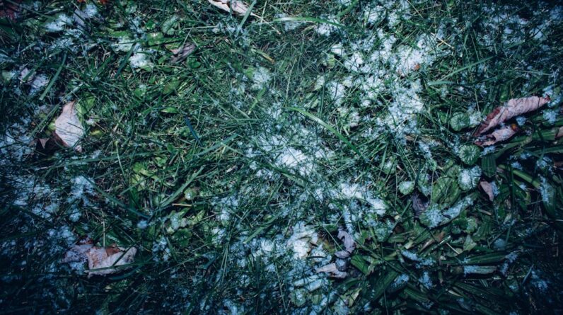 Photo Hail Damage Repair