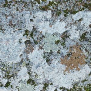 Photo Hail Damage Repair