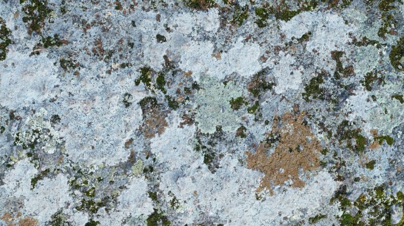 Photo Hail Damage Repair