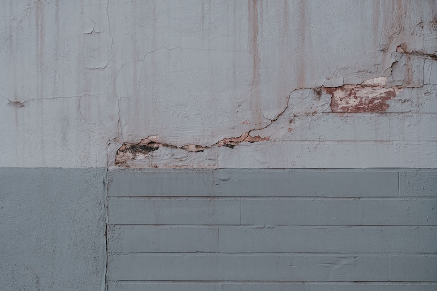 Photo Dent and Paint Repair