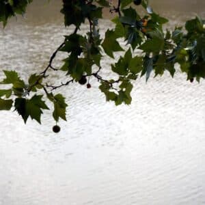 Photo Hail Damage Repair