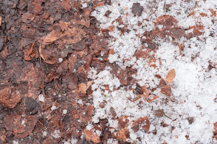 Photo Hail Damage Repair