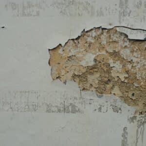 Photo Dent and Scratch Repair