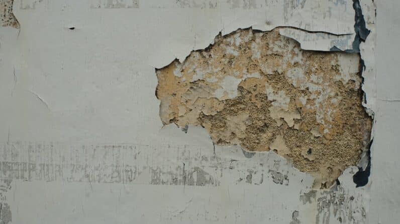 Photo Dent and Scratch Repair